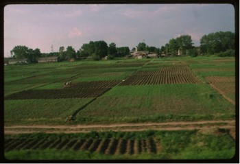 Soviet Collectivization, kolkhoz garden plots, 1960s, Arkhangel'sk, Russia